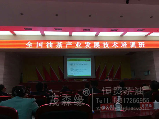 湖北有機(jī)山茶油