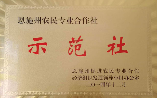 農(nóng)民專用合作社示范社