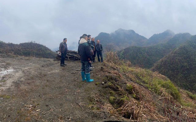 2023年2月23日省林業(yè)陳主任到馬松林基地視察