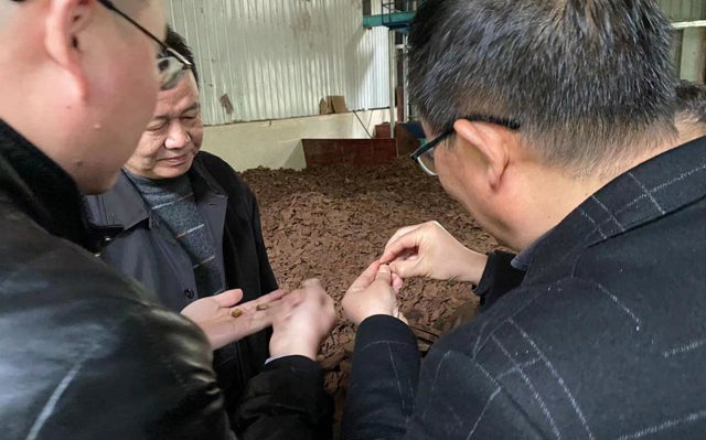 2022年3月25日人大和林業(yè)局武局長(zhǎng)一行來(lái)我司視察