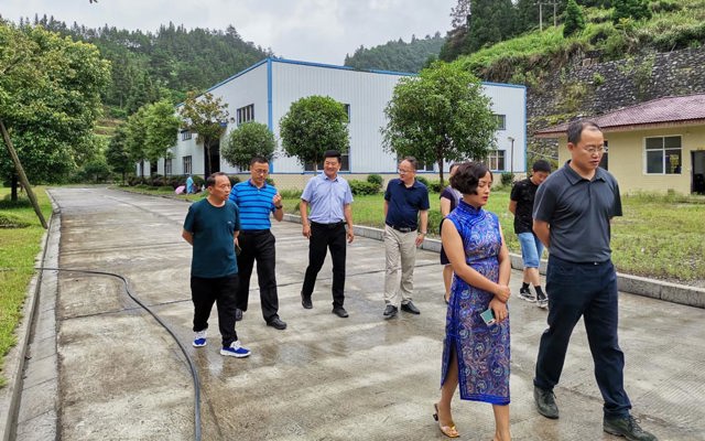 2020年7月3日恩施州黃副州長，來鳳縣杜副縣長來司調(diào)研